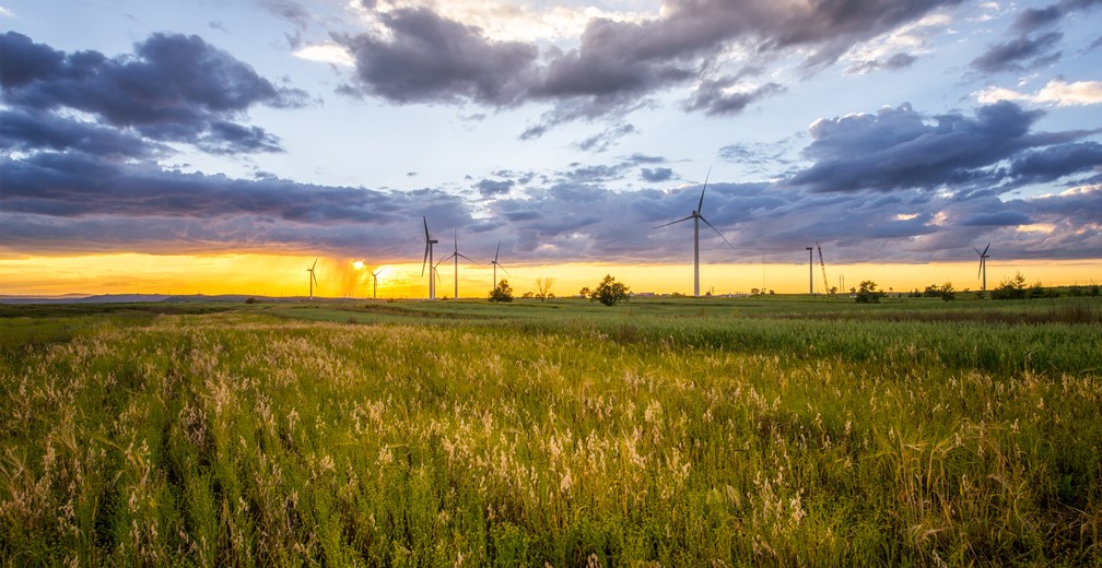 97���ʡ�(�й���)���޹�˾����